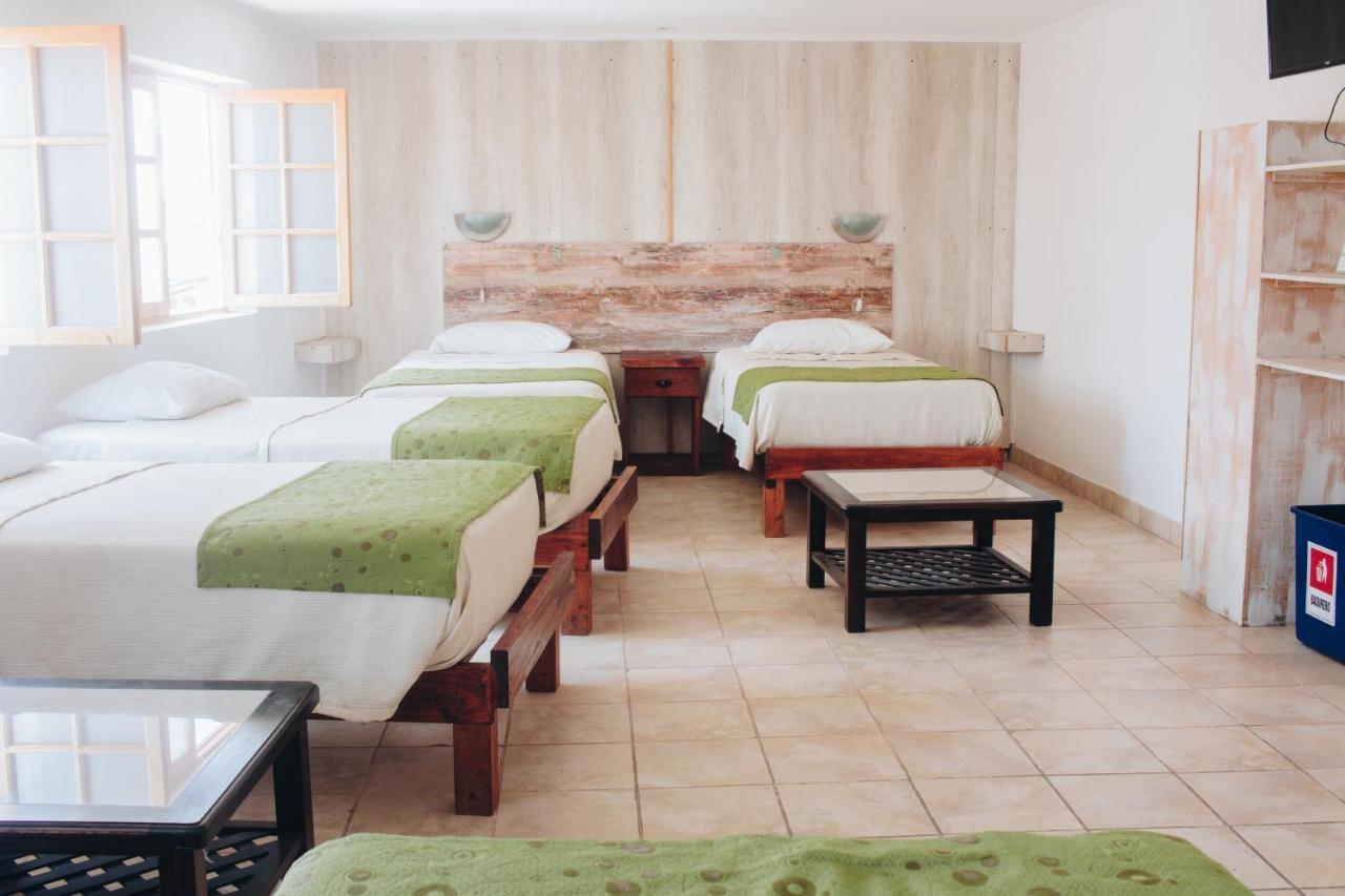 Hostal Valle Mistral La Serena Dış mekan fotoğraf