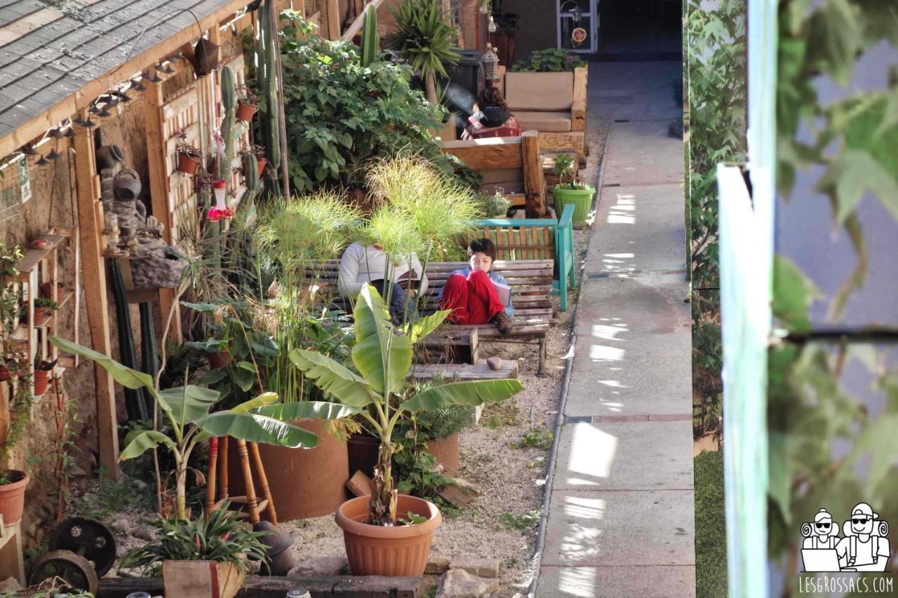 Hostal Valle Mistral La Serena Dış mekan fotoğraf
